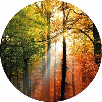 Digitaldruck-Tapete Golden Autumn livingwalls (1034152)