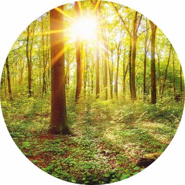 Digitaldruck-Tapete Deep in the Woods livingwalls (1034166)