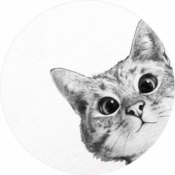 Digitaldruck-Tapete Sneaky Cat livingwalls (1034172)