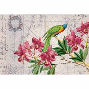 Digitaldruck-Tapete Bird Discovery 1 livingwalls (1036311)
