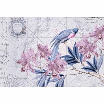 Digitaldruck-Tapete Bird Discovery 2 livingwalls (1036312)