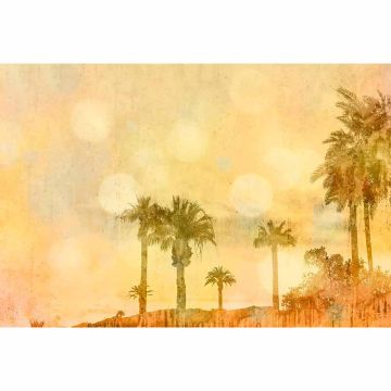 Digitaldruck-Tapete Palm Oasis 1 livingwalls (1036320)