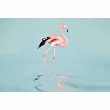 Digitaldruck-Tapete Flamingo Water livingwalls (1036326)