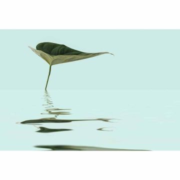 Digitaldruck-Tapete Zen Water Leaf livingwalls (1036329)