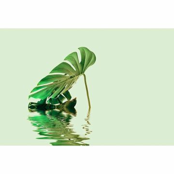 Digitaldruck-Tapete Monstera Leaf Water 2 livingwalls (1036330)