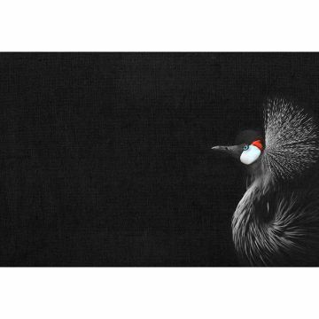 Digitaldruck-Tapete Crowned Crane Black livingwalls (1036333)