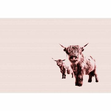 Digitaldruck-Tapete Highland Cows livingwalls (1036339)
