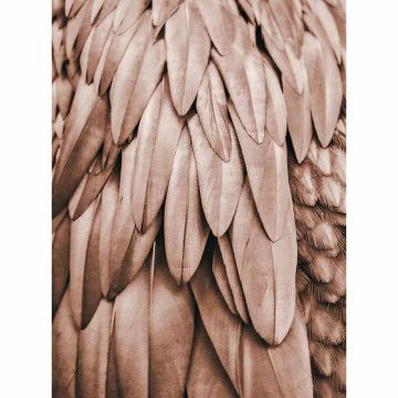 Digitaldruck-Tapete Feathers 1 livingwalls (1036342)