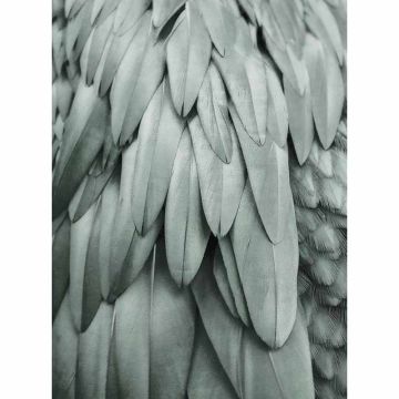 Digitaldruck-Tapete Feathers 2 livingwalls (1036343)