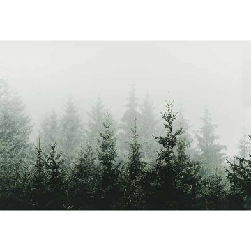 Digitaldruck-Tapete Mountain Forest livingwalls (1036350)