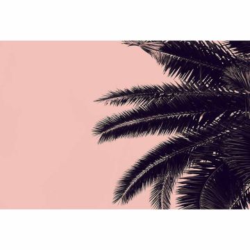Digitaldruck-Tapete Palm Tree livingwalls (1036351)