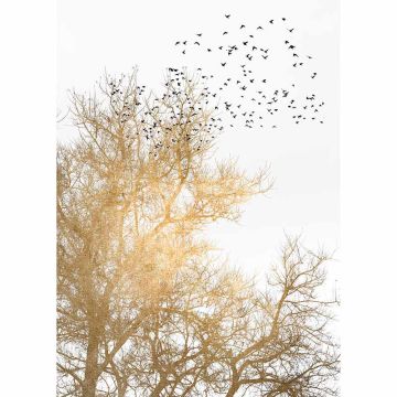 Digitaldruck-Tapete Golden Skies livingwalls (1036356)