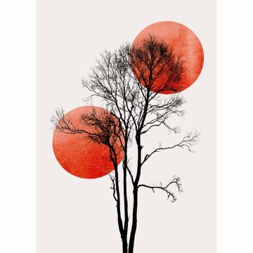 Digitaldruck-Tapete Sun and Moon livingwalls (1036357)