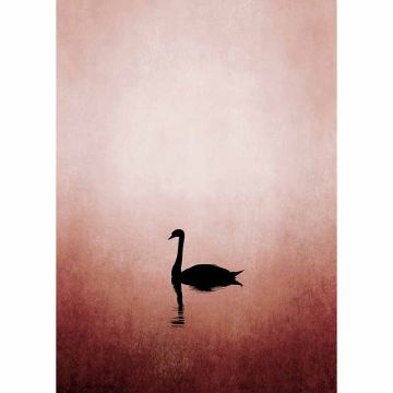 Digitaldruck-Tapete Swan Lake livingwalls (1036361)
