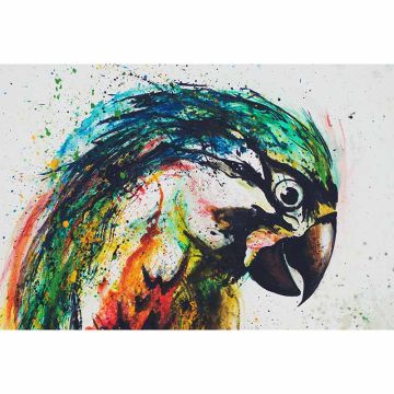 Digitaldruck-Tapete Parrot livingwalls (1036392)