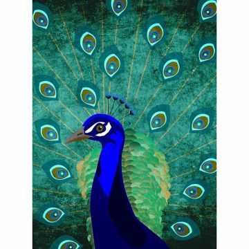 Digitaldruck-Tapete Peacock livingwalls (1036393)
