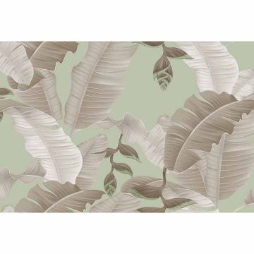 Digitaldruck-Tapete Heliconia 2 livingwalls (1036434)