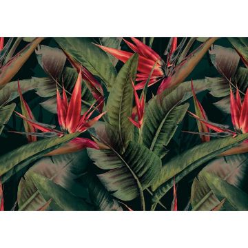 Digitaldruck-Tapete Cuba AS-Creation (1036729)