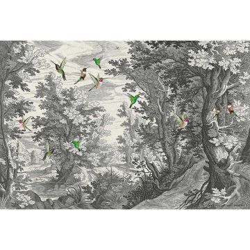 Digitaldruck-Tapete fancy forest 1 livingwalls (1036907)