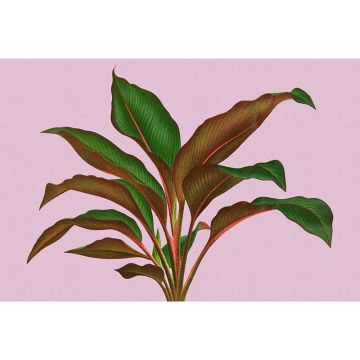 Digitaldruck-Tapete leaf garden 3 livingwalls (1036927)