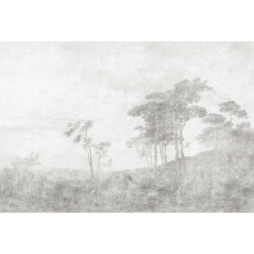 Digitaldruck-Tapete romantic grove 2 livingwalls (1036930)