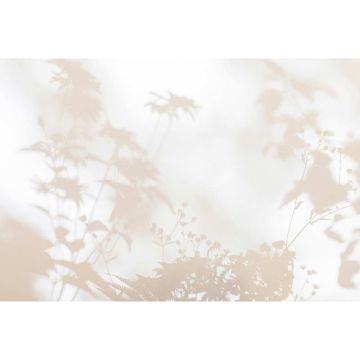 Digitaldruck-Tapete shadow room 1 livingwalls (1036942)