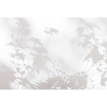 Digitaldruck-Tapete shadow room 2 livingwalls (1036943)