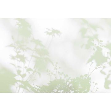 Digitaldruck-Tapete shadow room 3 livingwalls (1036944)
