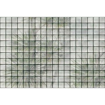 Digitaldruck-Tapete greenhouse 1 livingwalls (1036956)