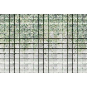 Digitaldruck-Tapete greenhouse 2 livingwalls (1036957)