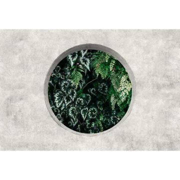 Digitaldruck-Tapete deep green 1 livingwalls (1036961)