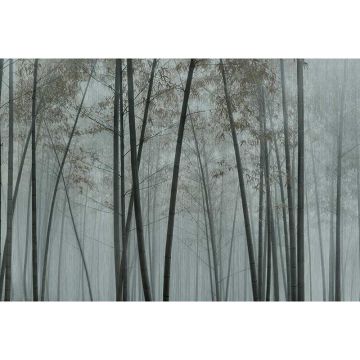 Digitaldruck-Tapete in the bamboo 1 livingwalls (1036963)