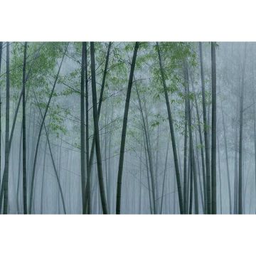 Digitaldruck-Tapete in the bamboo 2 livingwalls (1036964)