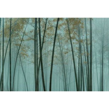 Digitaldruck-Tapete in the bamboo 3 livingwalls (1036965)
