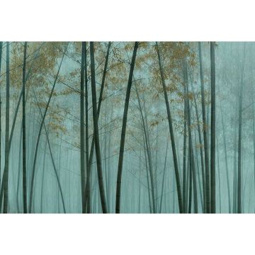 Digitaldruck-Tapete in the bamboo 3 livingwalls (1036965)