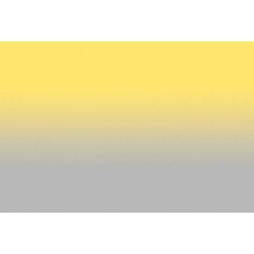 Digitaldruck-Tapete colour studio 1 livingwalls (1037103)