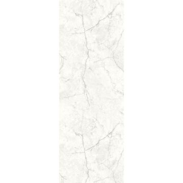 Digitaldruck-Tapete Grau, Silber Carrara White MASUREEL (1041041)