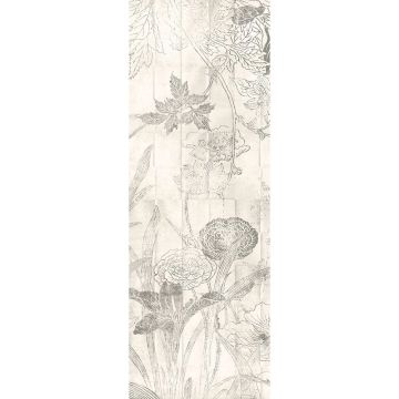 dg3lei1011