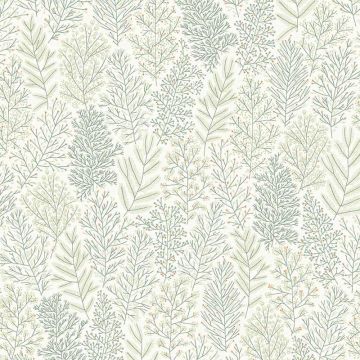 hap705_leafy_teal