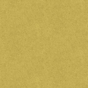 hav1003_g__1