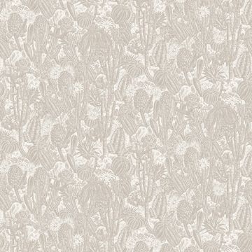 hav202_g__1