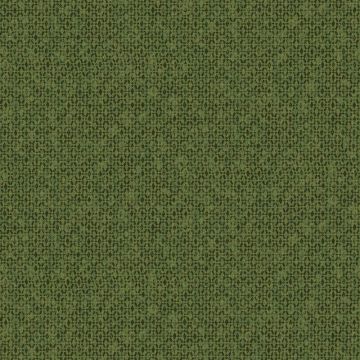 hav502_g__1