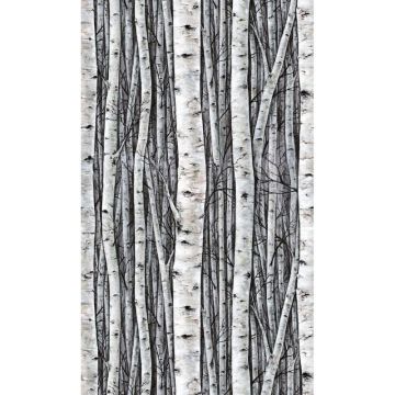 Vliestapete mit Wäldern und Buchenbäumen grau, blau Floral (KG-171430)