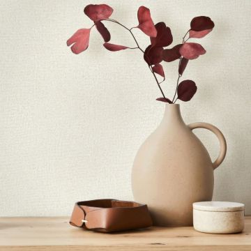 Vliestapete in Beige Strukturiertes Textil Putzoptik Uni für Wohnzimmer Schlafzimmer Küche (KG-171446)