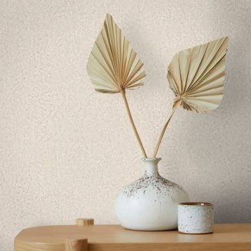 Vliestapete in Beige, Braun Strukturierte Putzoptik Uni für Wohnzimmer Schlafzimmer Küche (KG-171478)