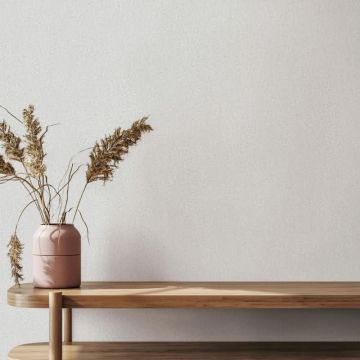 Vliestapete in Grau, Weiß Strukturierte Putzoptik Uni für Wohnzimmer Schlafzimmer Küche (KG-171479)