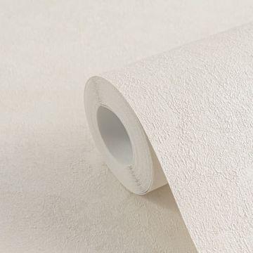 Vliestapete Putzoptik Creme moderne Struktur-Tapete Betonoptik (KG-171747)