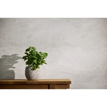 Mustertapete Weiß Grau Metallic moderne Vliestapete (KG-171808)