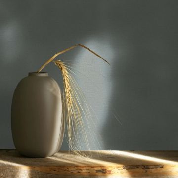 Vliestapete Strukturiert Uni Modern  in Grau für Wohnzimmer, Schlafzimmer, Küche (KG-172690)