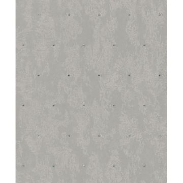 Vliestapete Betonoptik, Strasssteine Metalloptik Modern glänzend in Graubraun für Wohnzimmer, Schlafzimmer, Büro (KG-172710)